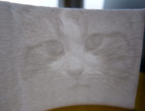 things to make with a 3d printer : lithophane 